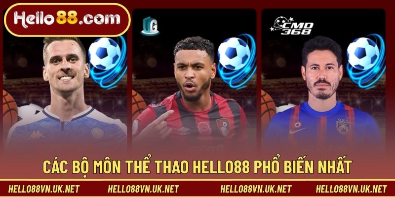 Thể Thao Hello88 - Cá Cược Bóng Đá Đẳng Cấp Nhất Năm 2026 3 Các bộ môn thể thao Hello88 phổ biến nhất