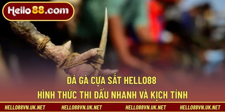 Đá Gà Cựa Sắt | Hình Thức Thi Đấu Tốc Độ Cao Cho Người Mới
