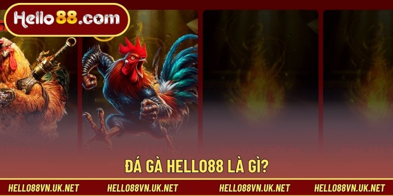 Đá gà Hello88 là gì?