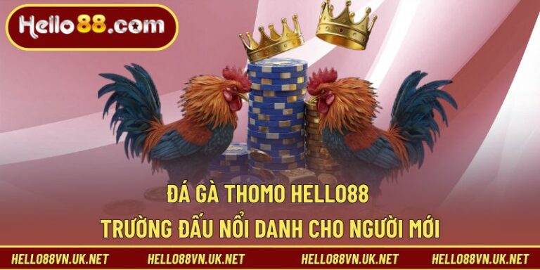 Đá Gà Thomo Là Gì? Trường Đấu Được Quan Tâm Hiện Nay