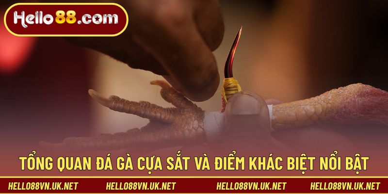 Tổng quan đá gà cựa sắt và điểm khác biệt nổi bật